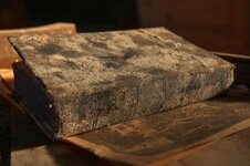 IMG_9874_5_6_tonemapped copy.jpg