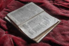 IMG_9343_4_5_tonemapped copy.jpg