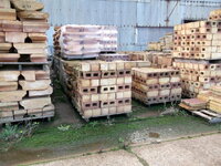 Brickworks with Kane 208.JPG