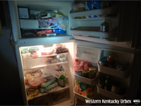full_ass_fridge_light on_interior_wm.png
