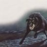 Black Shuck